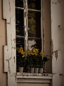 Opintolainan Viitekorko: Merkitys, Vaikutukset Ja Muutosprosessit