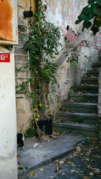 Kasinovertailu: Opas Parhaisiin Online Kasinopalveluihin Suomessa