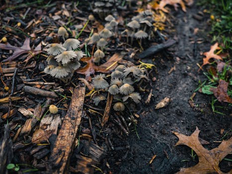 Asuntolainalaskuri HS: Miten Korkojen Nousu Vaikuttaa Asuntolainaan