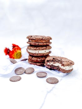 Uudet Kasino Bonukset: Parhaat Tarjoukset Ja Vinkit Suomalaisille Pelaajille