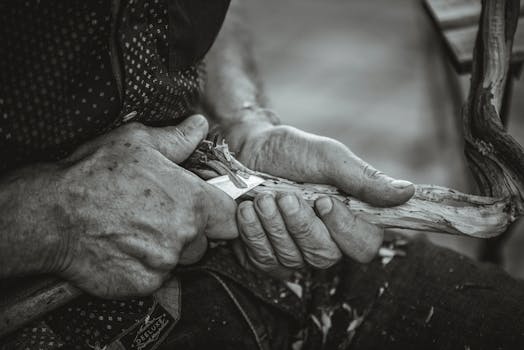 Uunokasino: Suomalainen Kasinokokemus Ja Nopea Pelielämyksen Kulku