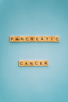 Mobiili Kasino Suomi: Parhaat Mobiilikasinot Ja Pelaamisen Edut