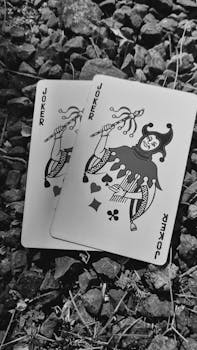 Fellow Finance Ja Alisa Pankki: Kulutusluottojen Ja Lainojen Vertailu Ja Palvelut