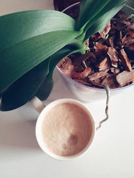 Ilmaiskierros Ilman Talletusta 2026: Opas Parhaisiin Kasinotarjouksiin