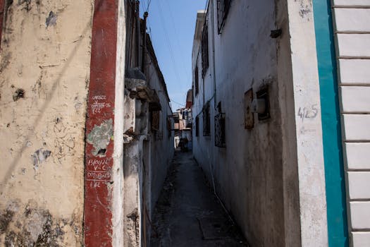 Nettipokeri Ray Rice - Jakautumista, Skandaaleja Ja Vaikutuksia Suomalaisessa Pelaamisessa