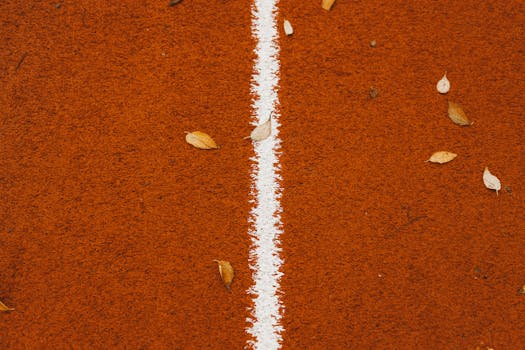 Nettipokeri Macomb: Opas Ja Vinkit Suomalaisille Pelaajille