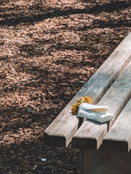 Nopean Ja Edullisen Lainan Hakeminen: Halpaa Lainaa Nopeasti