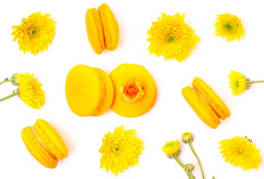 Puhelin Kasino: Mobiiliratkaisut Ja Pelibonnukset Suomalaisille