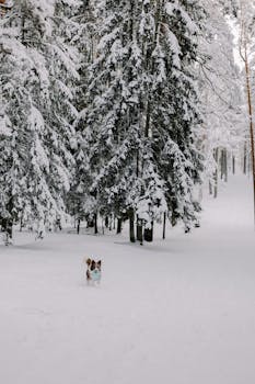 Op Rahoitus K Rauta: Rahoitus- Ja Rakentamisratkaisut
