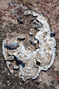 Suomen Paras Vertailupalvelu: Sortter Com Ja Lainat Voivat Auttaa Sinua