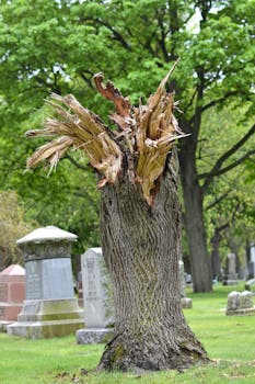 Oma Kuva Pankkikorttiin: Ohjeet Ja Tavoitteet