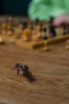 Helppoa Ja Nopeaa Luottoa Helposti: Vinkit Ja Mahdollisuudet