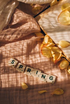 Omat Luottotiedot Ilmainen: Kuinka Tarkistaa Ja Miksi Se On Tärkeää