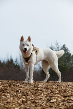 Laina Pienin Korko: Kuinka Löytää Edullisin Ja Matalakorkoisin Laina