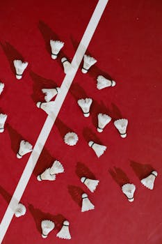 Finnvera Laina Korko: Tietoa Ja Arviointeja Korkojen Muutoksista Ja Vaikutuksista