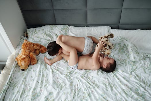 Asumisoikeusasuntoon Laina: Oppaan Tärkeimmät Seikat Ja Hakumenettely