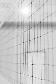 Lainaa Pikaisesti: Vinkit, Mahdollisuudet Ja Parhaat Palvelut