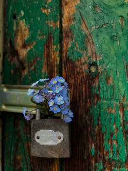 Betinia Vedonlyönti: Kokemukset, Tarjoukset Ja Pelivalikoima