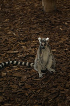 Omaluotto Kirjaudu: Ohjeet Ja Turvakäytännöt Suomalaisessa Verkkomaksamisessa