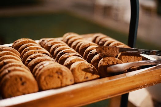 Pelisivustot Netissä: Parhaat Kasinot, Rahapelit Ja Pelipalvelut Suomessa