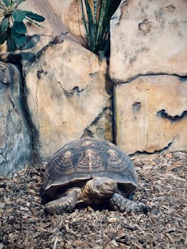 Guts Casino Kokemuksia: Kokemukset Ja Arvioinnit Suomalaisesta Nettikasinosta